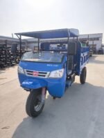 Gasoline cargo tricycle - Image 2