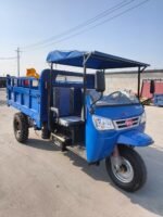 Gasoline cargo tricycle - Image 3