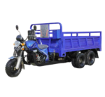 9-Wheel Gasoline Tricycle