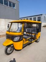 Three-row gasoline tuktuk - Image 2