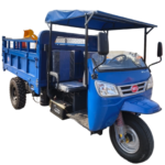 Gasoline cargo tricycle
