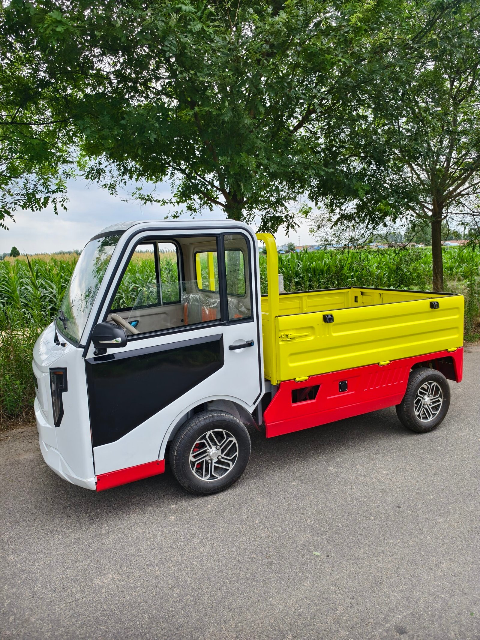 e29bd0de5521311a998c5429e52173bd P10 Electric pickup truck - Image 1